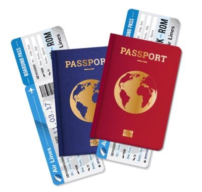 Visa Grant